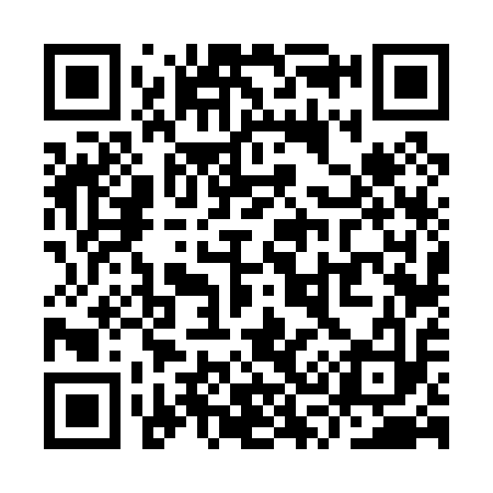 QR code for YS6013