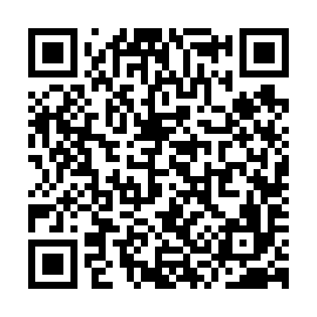 QR code for YS6696