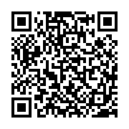 QR code for YS8113