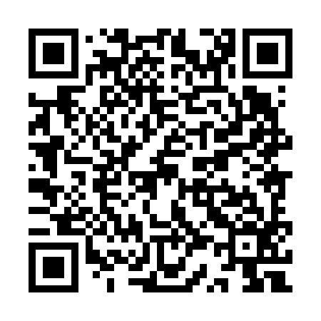 QR code for YS8696