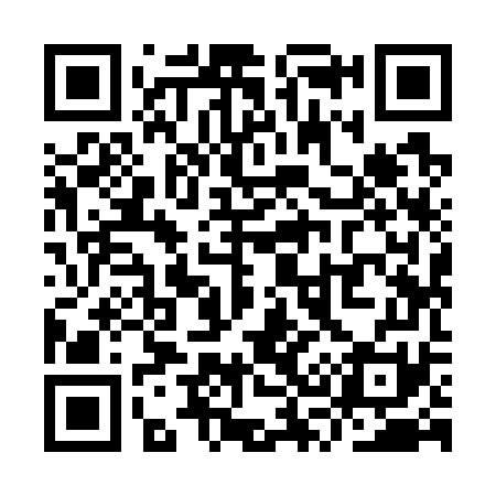 QR code for YS9771