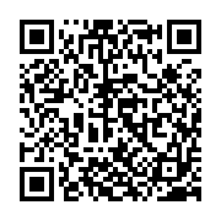 QR code for YS9913