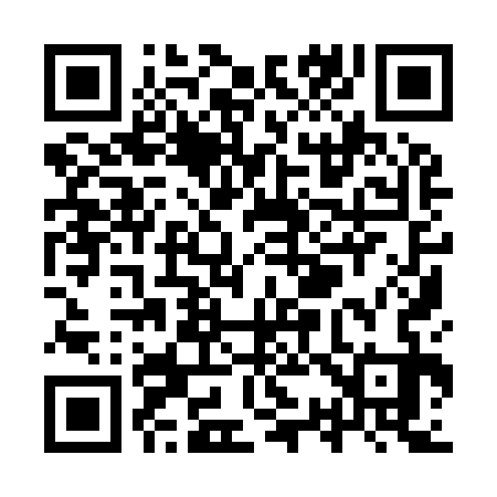 QR code for YS9933