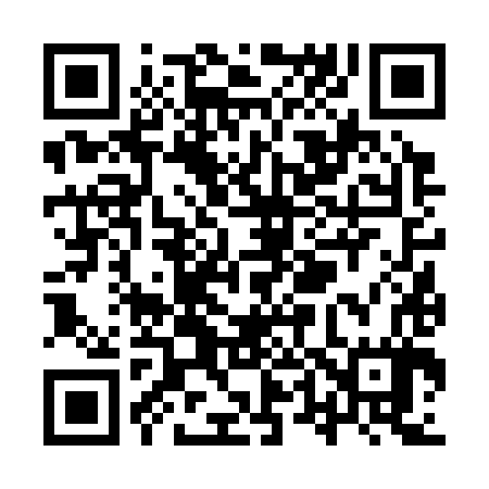 QR code for YT6387