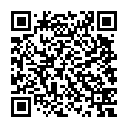 QR code for YT6439