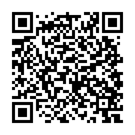 QR code for YT6743
