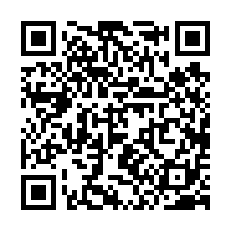 QR code for YV0611