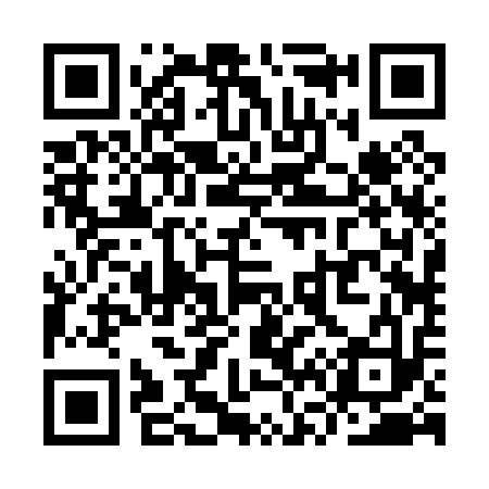 QR code for YV2013