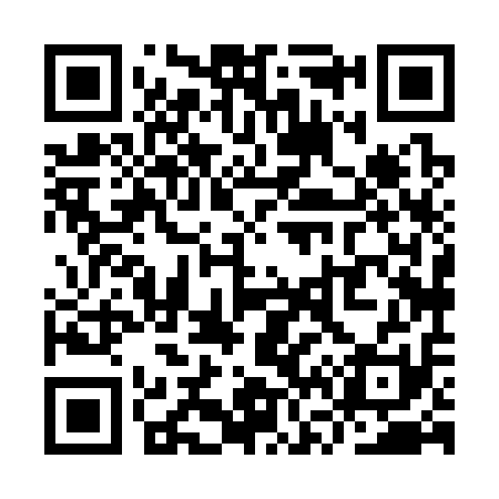 QR code for YV8311