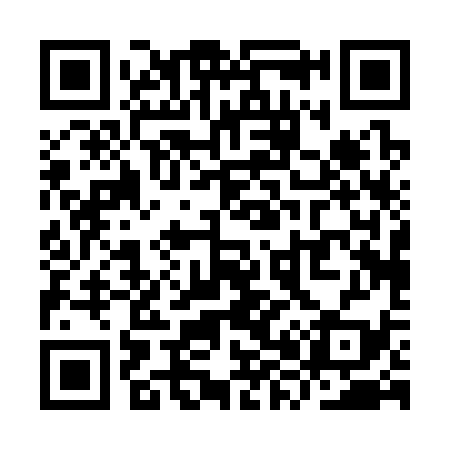 QR code for YX0339