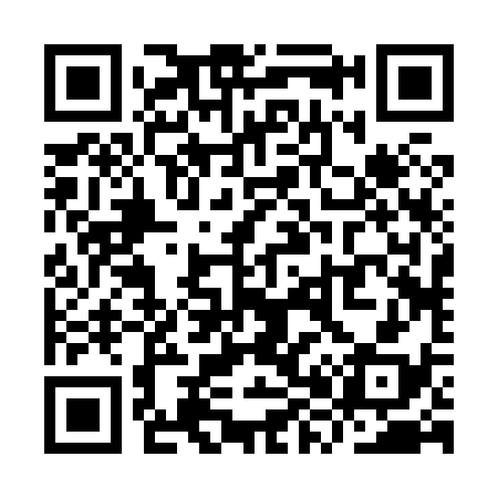 QR code for YX2838