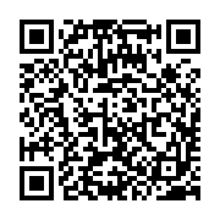 QR code for YX2993