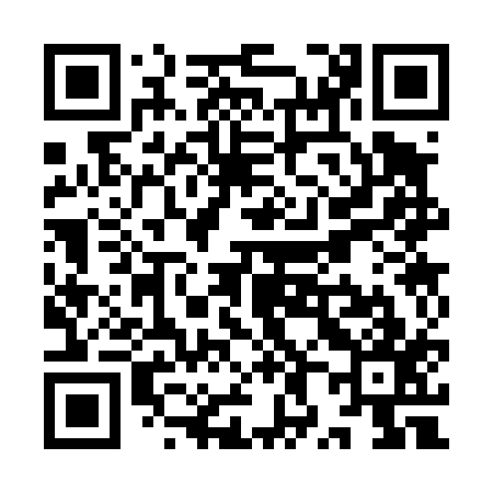 QR code for YX3417
