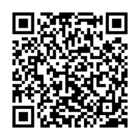QR code for YX9533