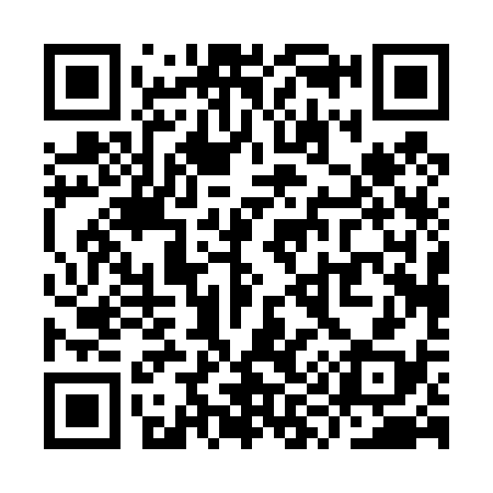 QR code for YY0438