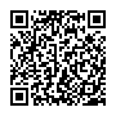 QR code for YY1911