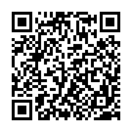 QR code for YY6296