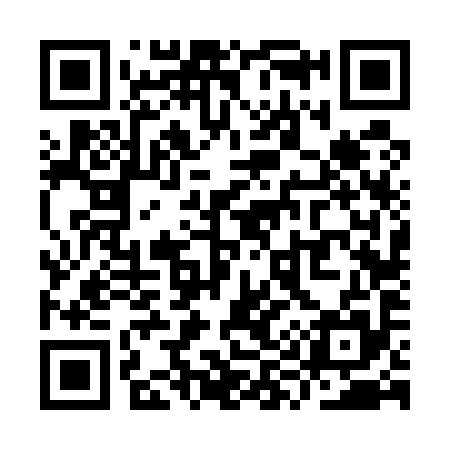 QR code for YY6595