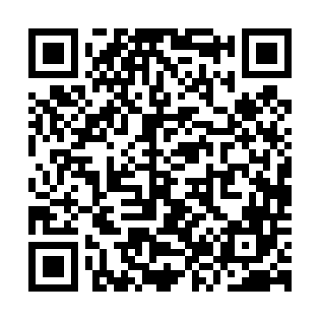 QR code for YZ0446