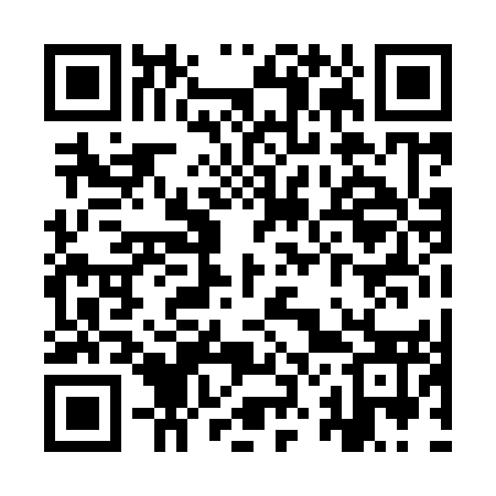 QR code for YZ0953