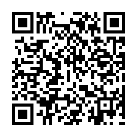QR code for YZ0956