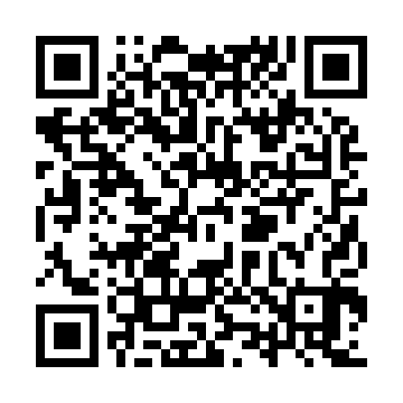 QR code for YZ2903