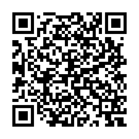 QR code for YZ3161