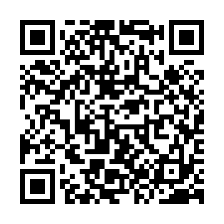 QR code for YZ3833