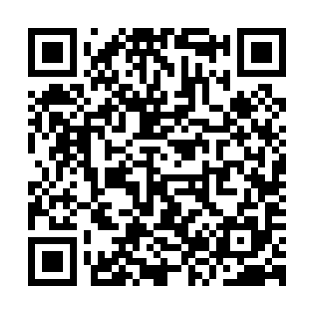 QR code for YZ6095
