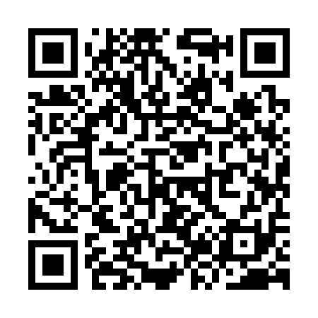 QR code for YZ9311