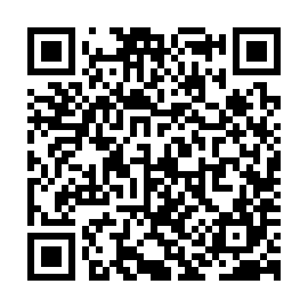 QR code for ZA6384