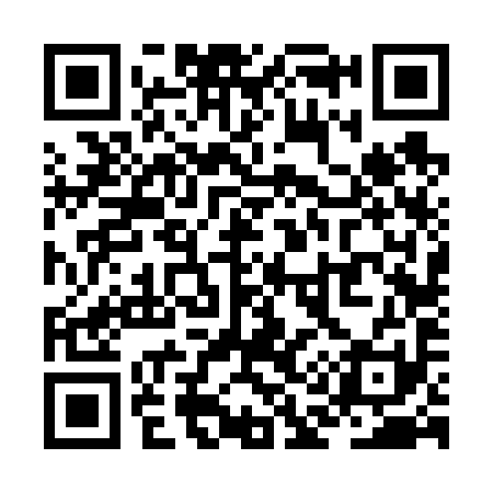 QR code for ZA6691