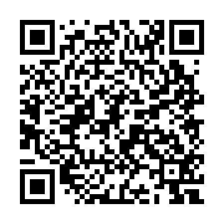QR code for ZB0313