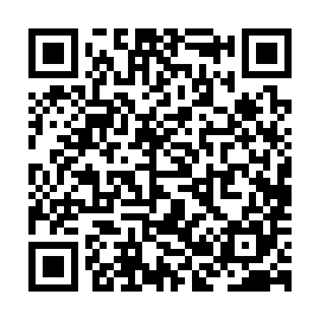 QR code for ZB0385