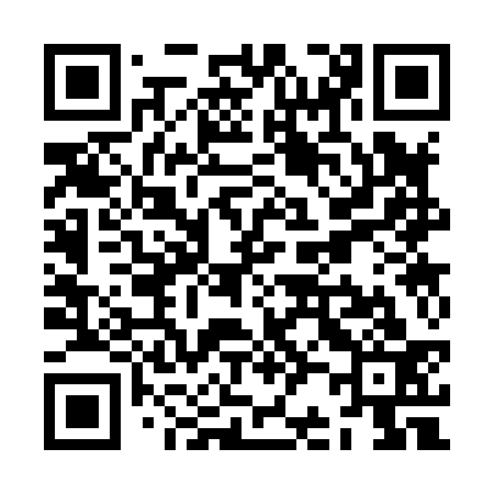 QR code for ZB3833