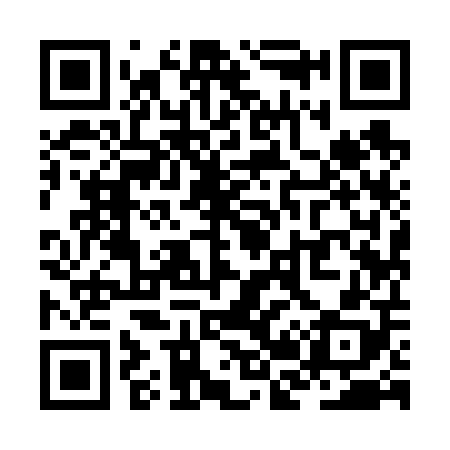 QR code for ZB9608