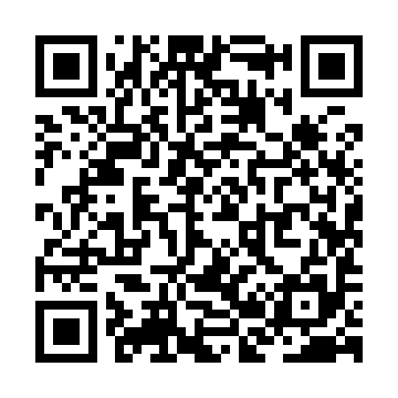 QR code for ZB9995
