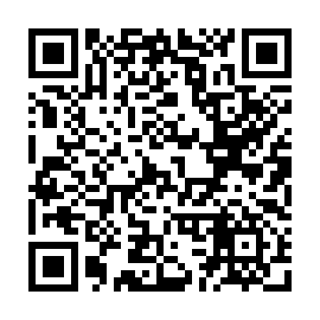 QR code for ZC0397