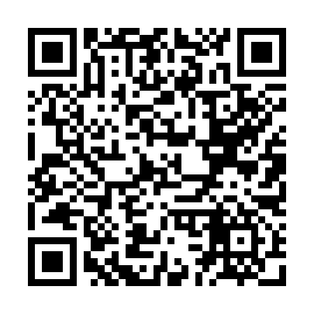 QR code for ZC4397