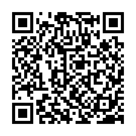 QR code for ZC6311