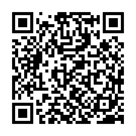 QR code for ZC8161