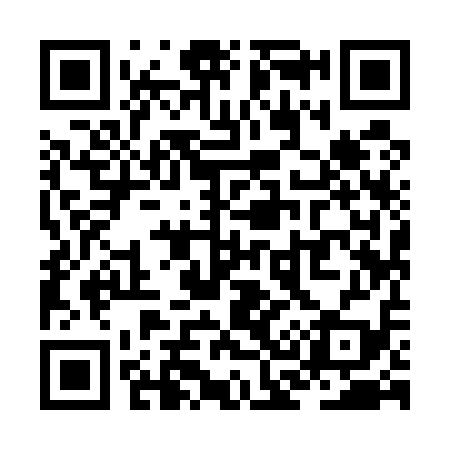 QR code for ZC9519