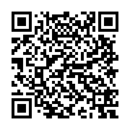 QR code for ZC9528