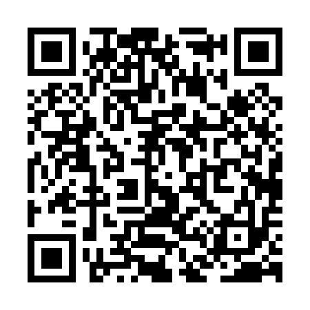 QR code for ZD0013