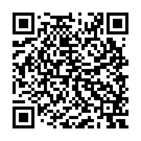 QR code for ZD0382