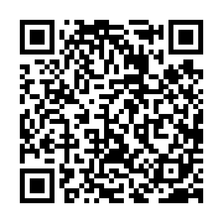 QR code for ZD0601