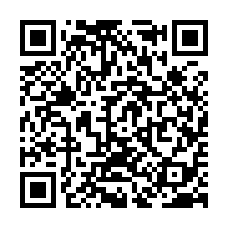 QR code for ZD3919