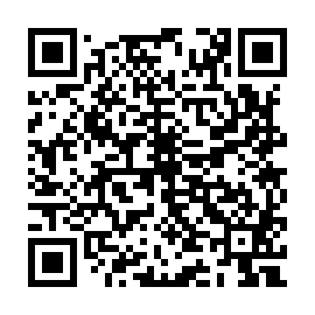 QR code for ZD3981