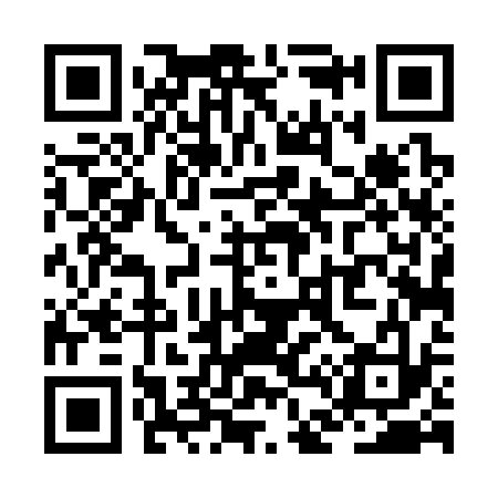 QR code for ZD4333