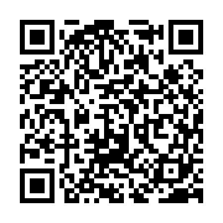 QR code for ZD5161